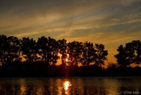 /album/photo-gallery-silhouette/a4-4-1-jpg/